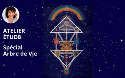 Jeudi 15 mai, 20h • Spécial Arbre de Vie • Atelier-étude avec Arouna